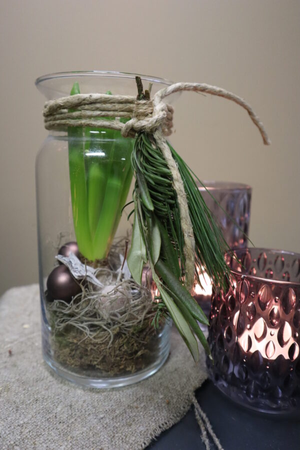 Vaas Hyacint kerst